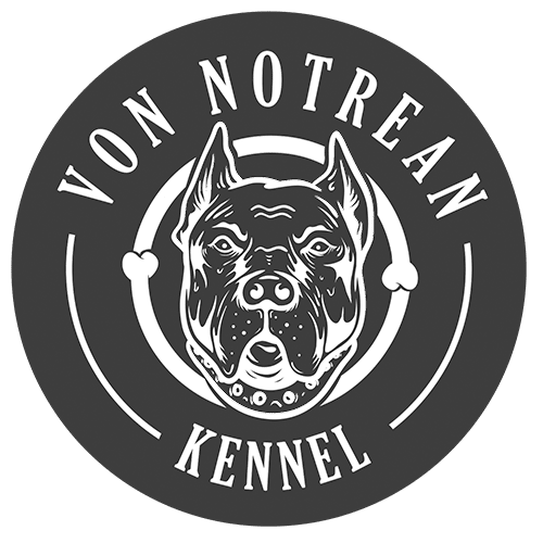 Clientes Canil American Starffodshire Terrier e American Bully - Canil Von Notrean