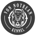Clientes Canil American Starffodshire Terrier e American Bully - Canil Von Notrean